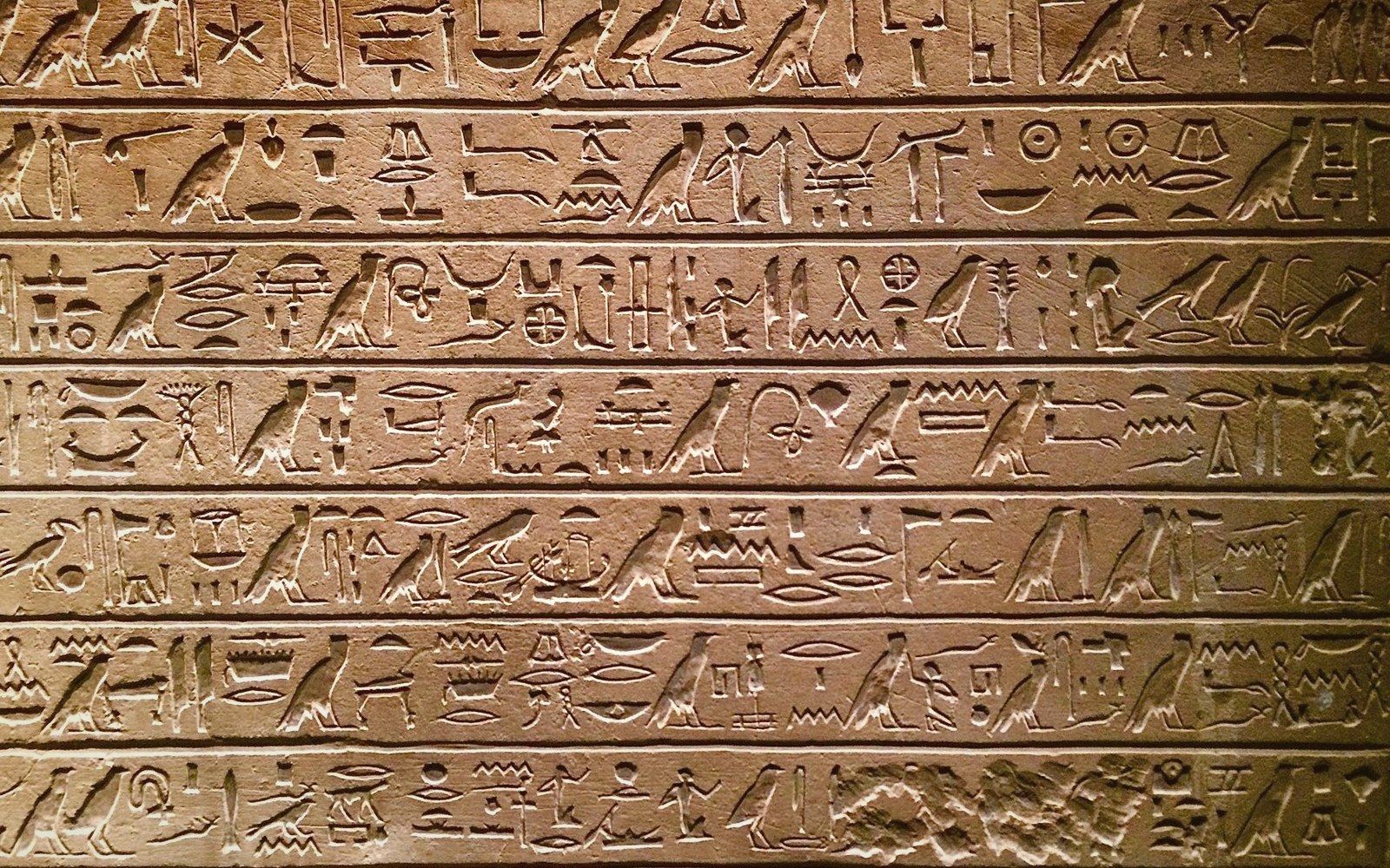 Rows of carved Egyptian hieroglyphs covering a stone wall or slab